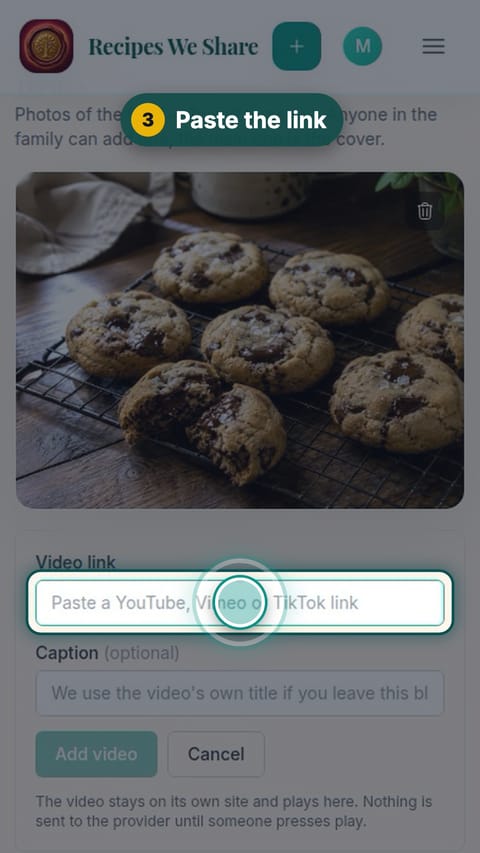 Step 3: Paste the link