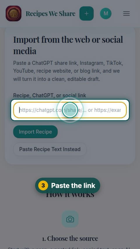 Step 3: Paste the link